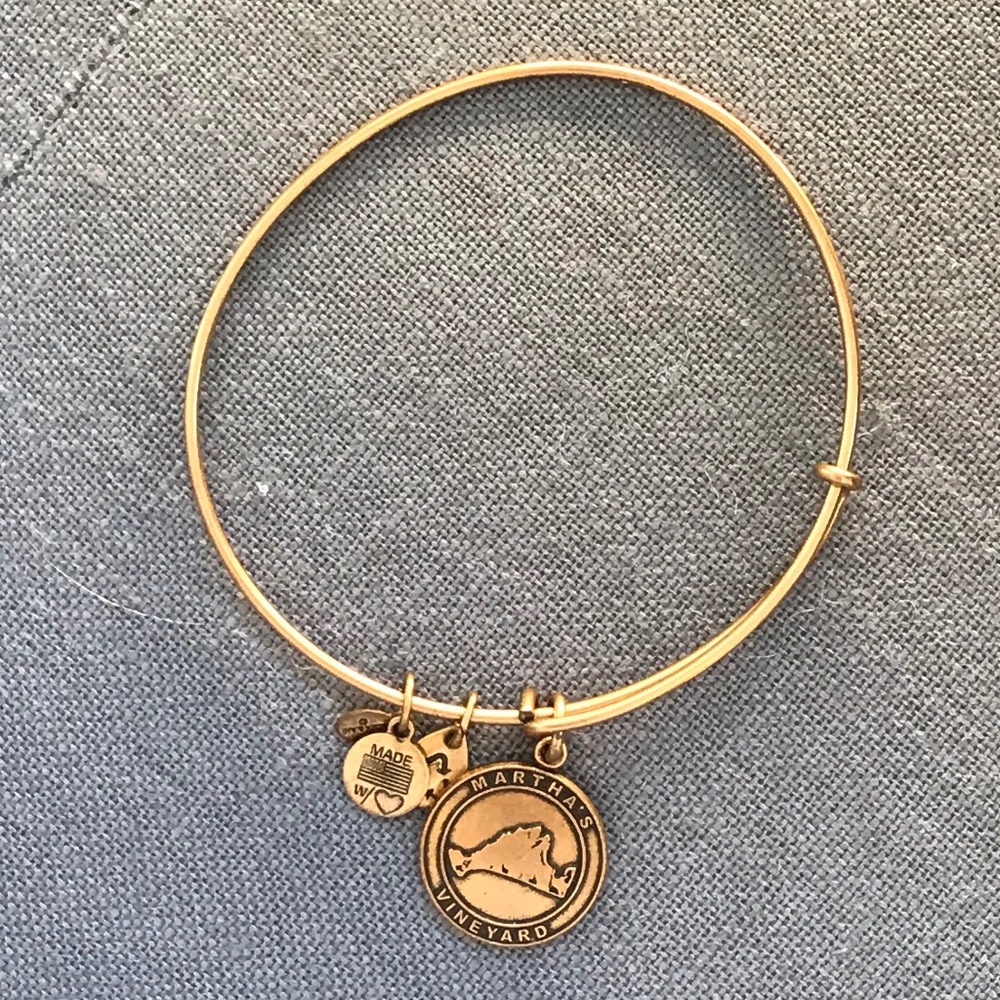 Alex and Ani Martha's Vineyard bracelet Retail $32